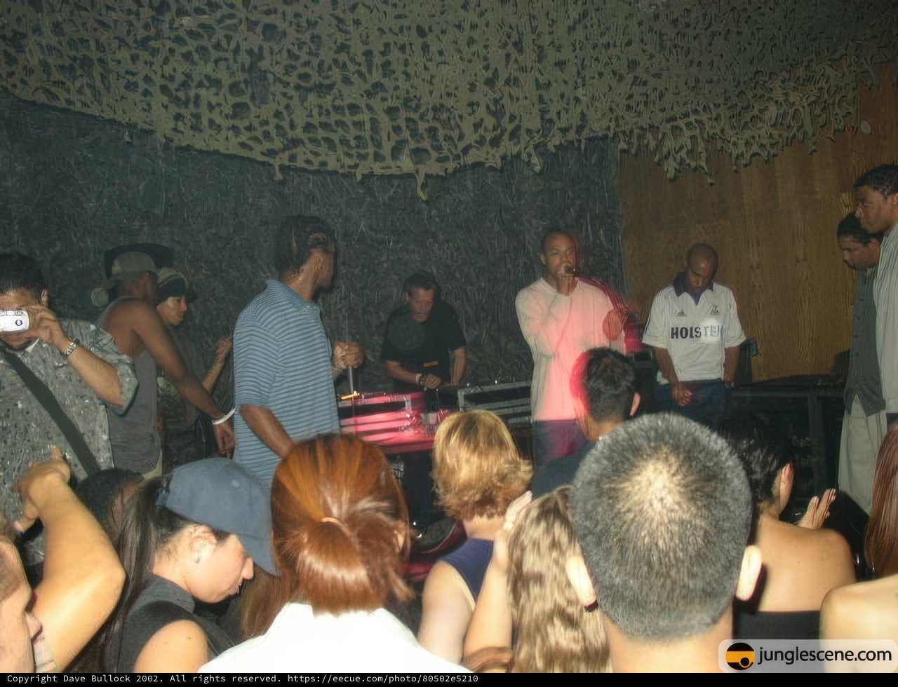 Nightclub Performance