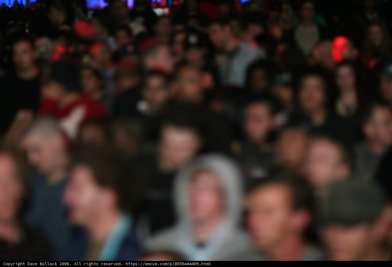 Faces in the Crowd