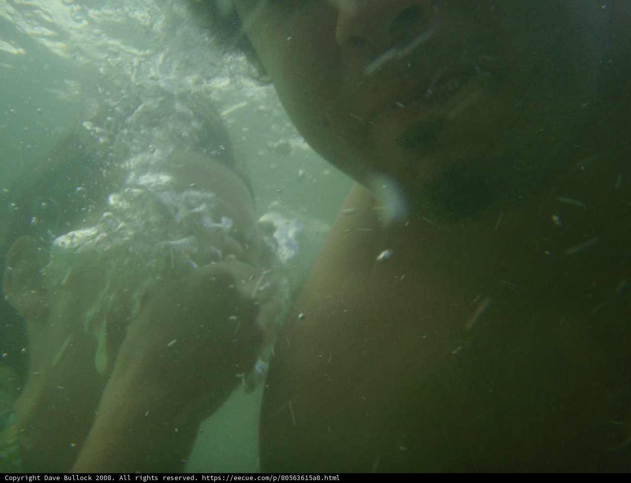 Underwater Love