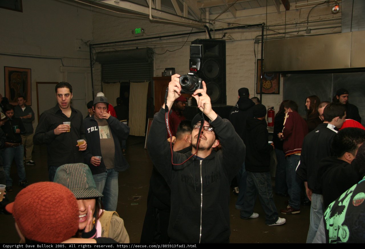 Capturing the Crowd