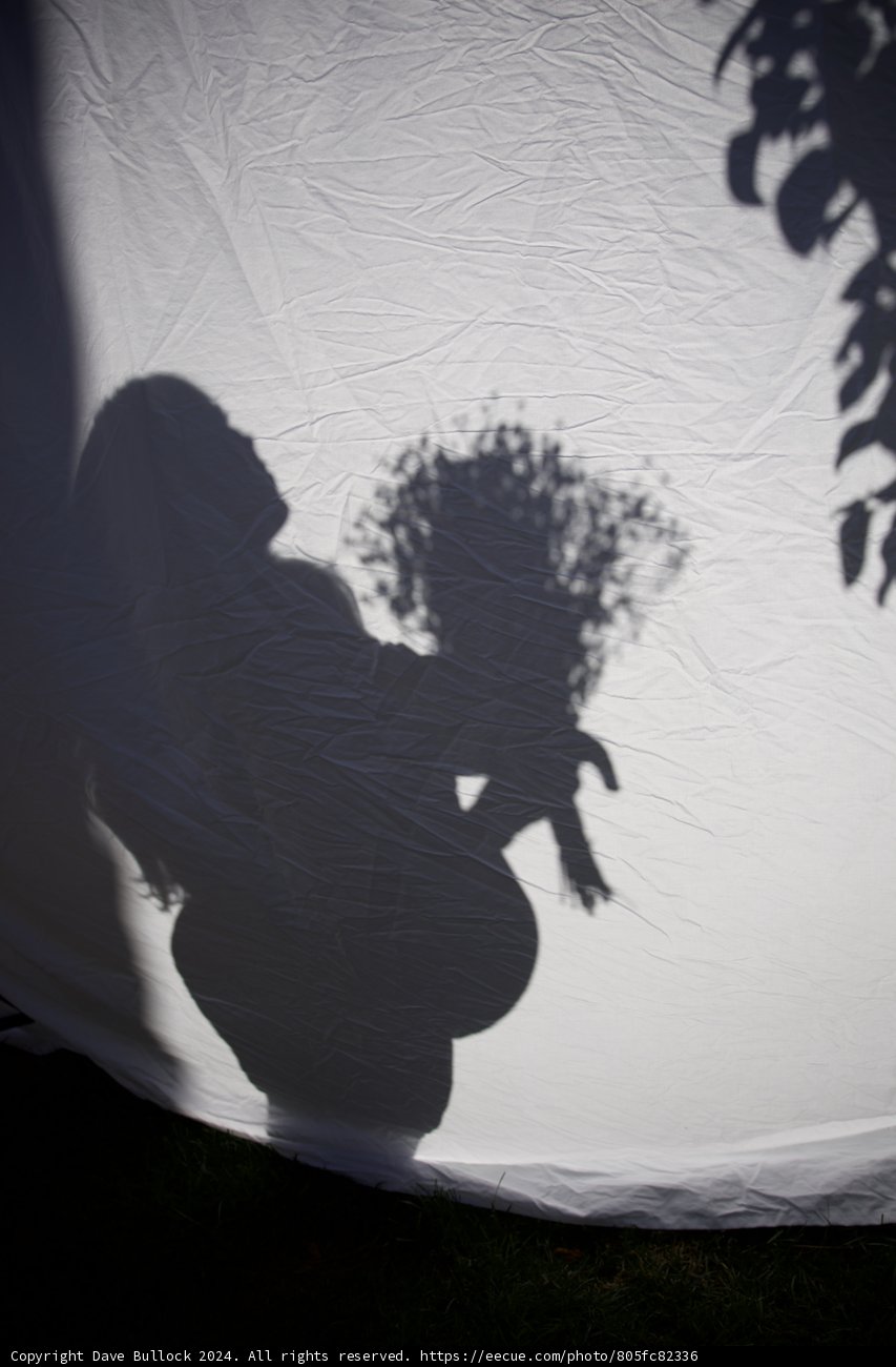 Pregnant Silhouette with Blossoms