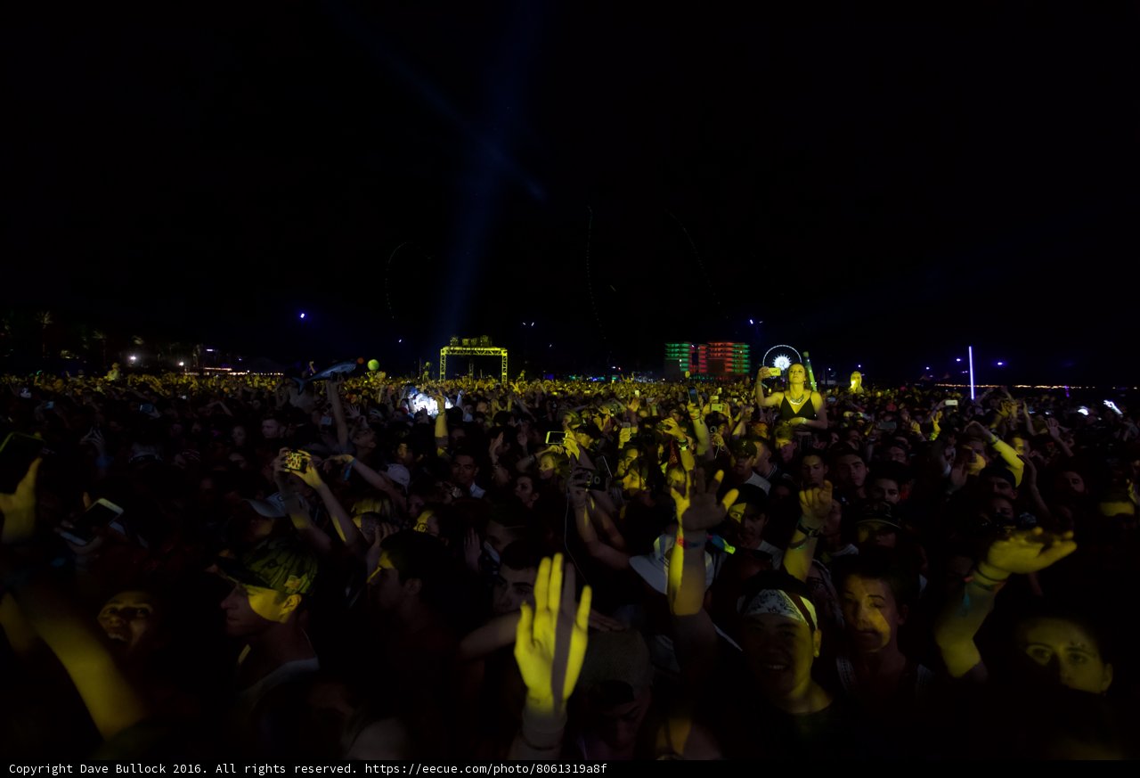 Hands Up for the Crowd