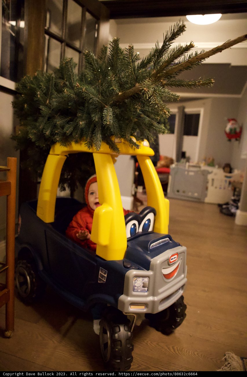 Wesley's Miniature Christmas Adventure