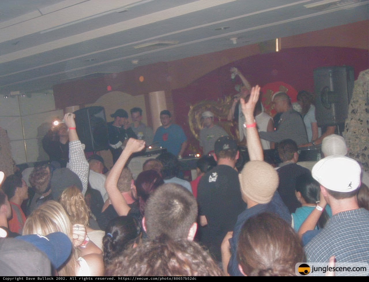 Ecstatic crowd at a nightclub