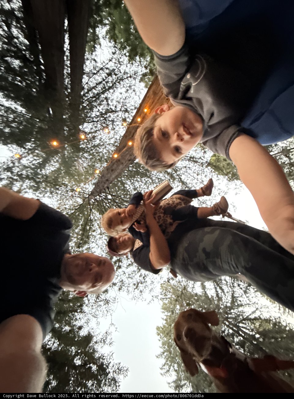 Family Adventure in the Grove