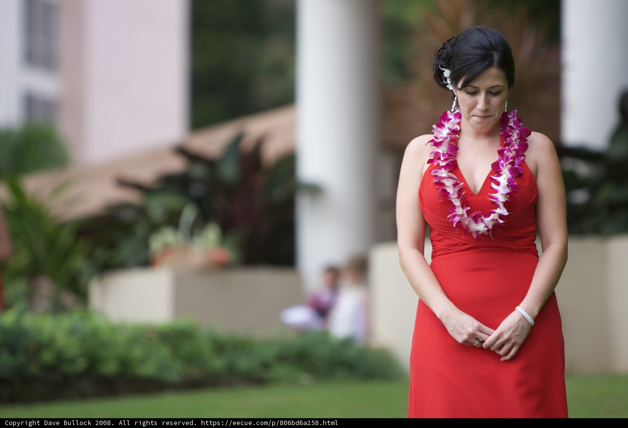 Red Dress Amongst Hawaiian Blooms