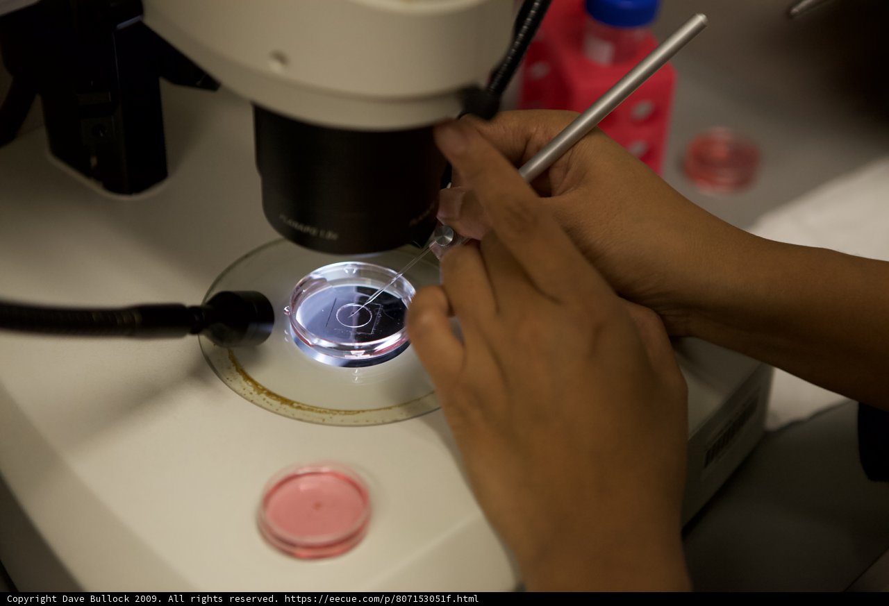 Examining the Microscopic World