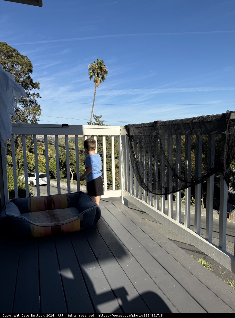 Sunny Daydreams on the Deck
