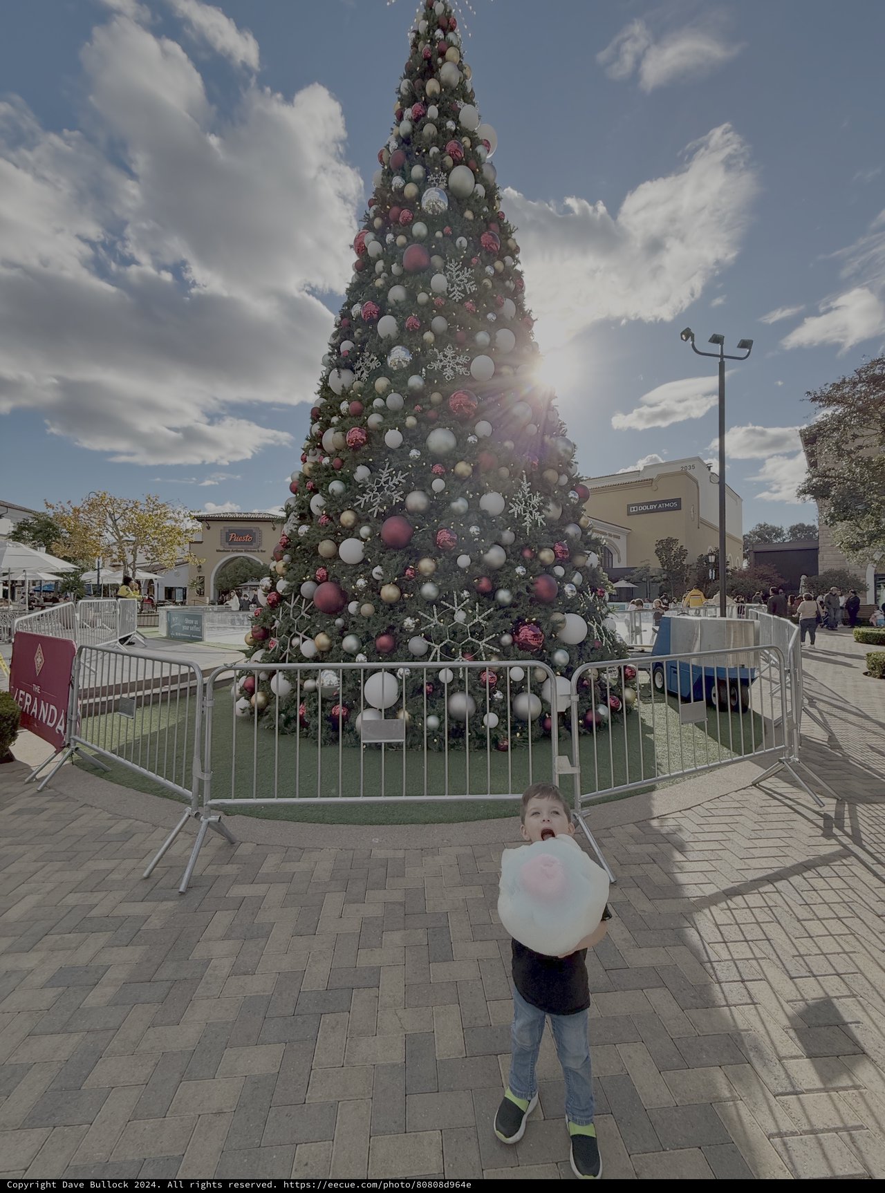 Child with Cotton Candy at Christmas Tree
