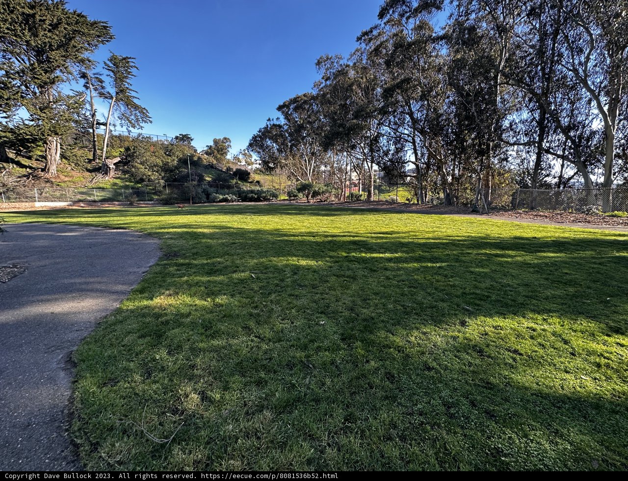 A Serene Day at the Park
