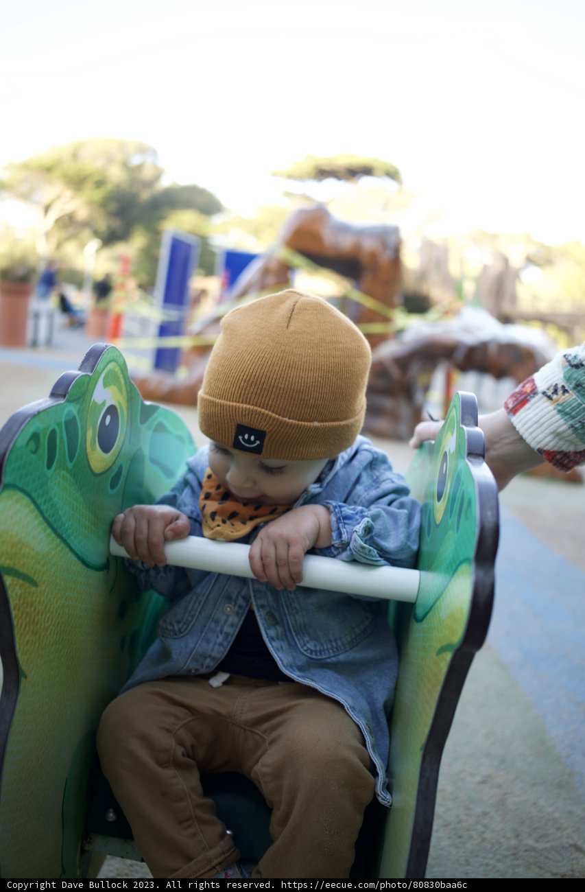 A Jurassic Adventure in the Heart of SF Zoo