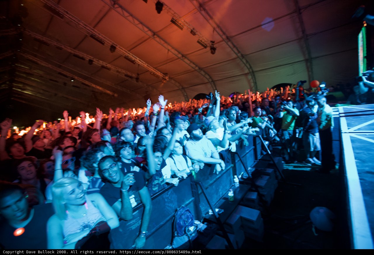 Coachella Crowd Goes Wild