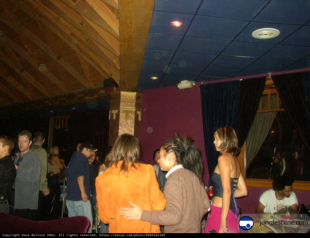 Nightclub Gathering