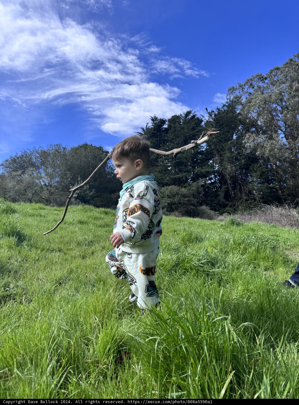 Wesley's Field Adventure