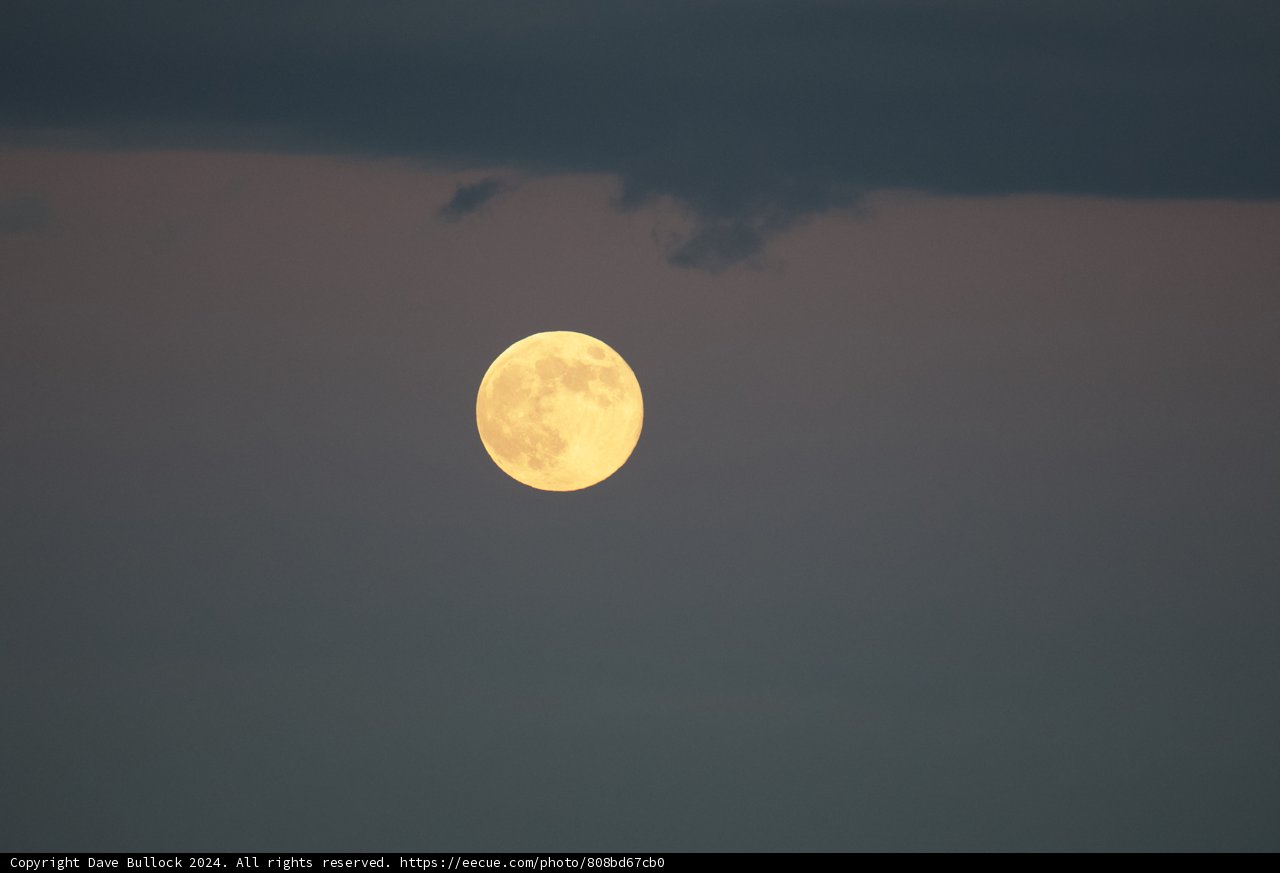 Enchanting November Full Moon