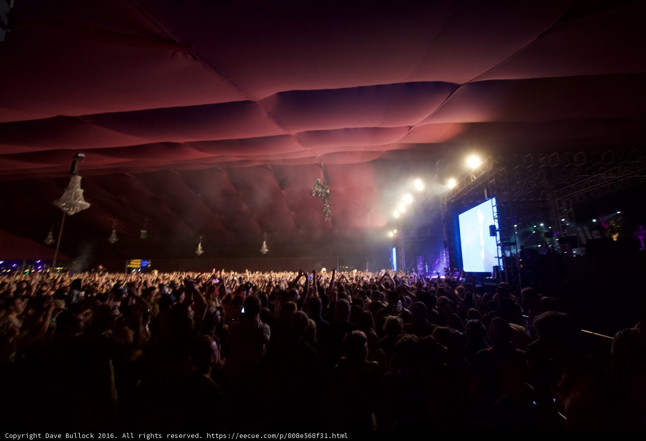 Rocking Out at Coachella