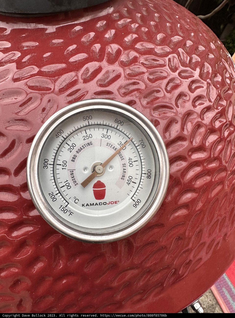 Sizzling Summer Cookout