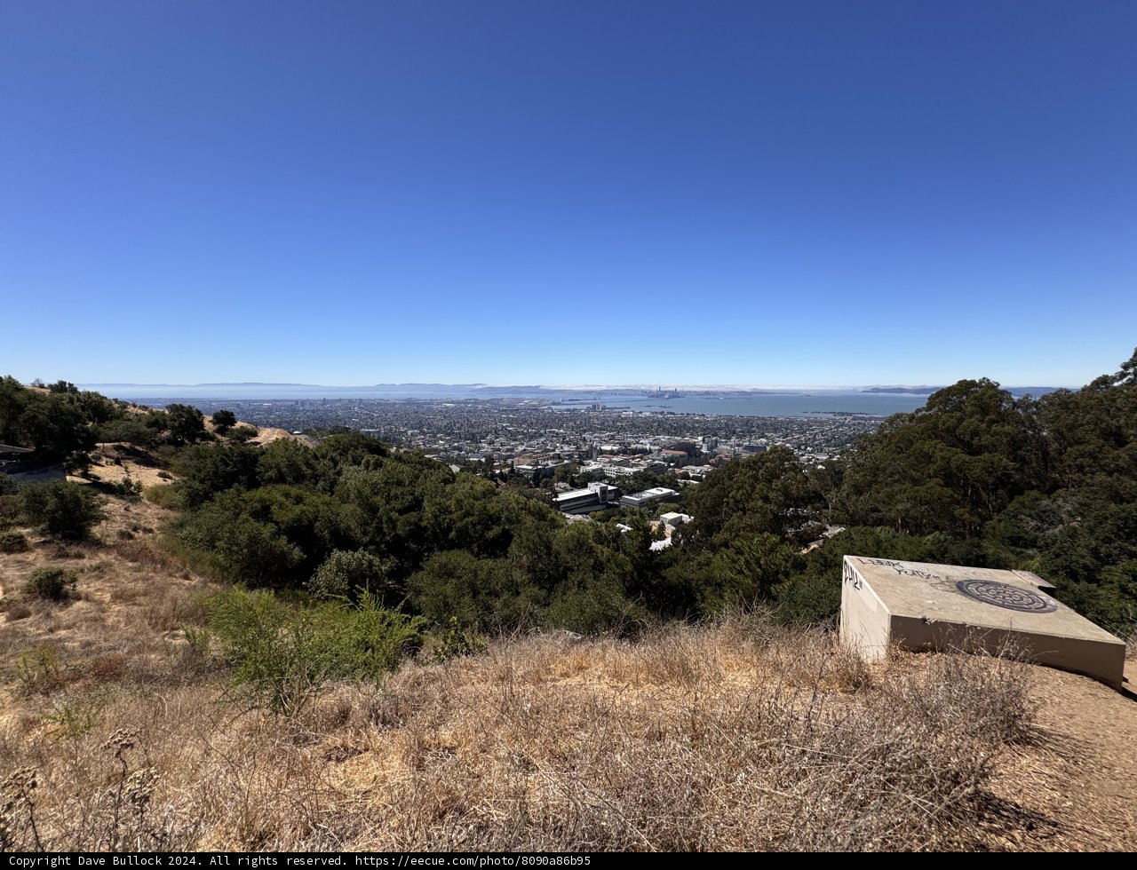Overlooking Berkeley: Nature Meets Urban