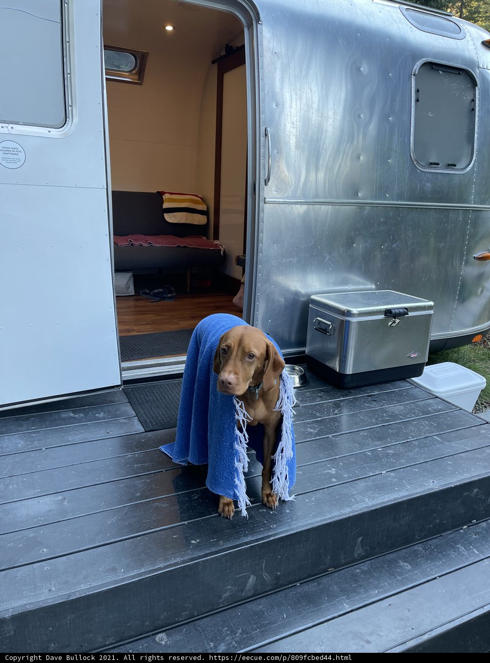 A Dog's Airstream Adventure