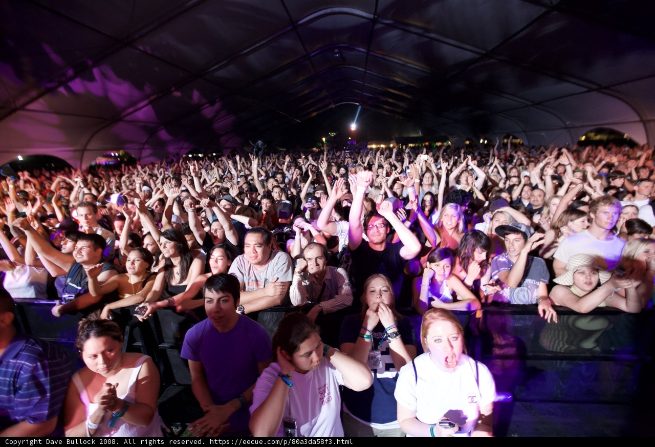 Coachella Crowd Goes Wild