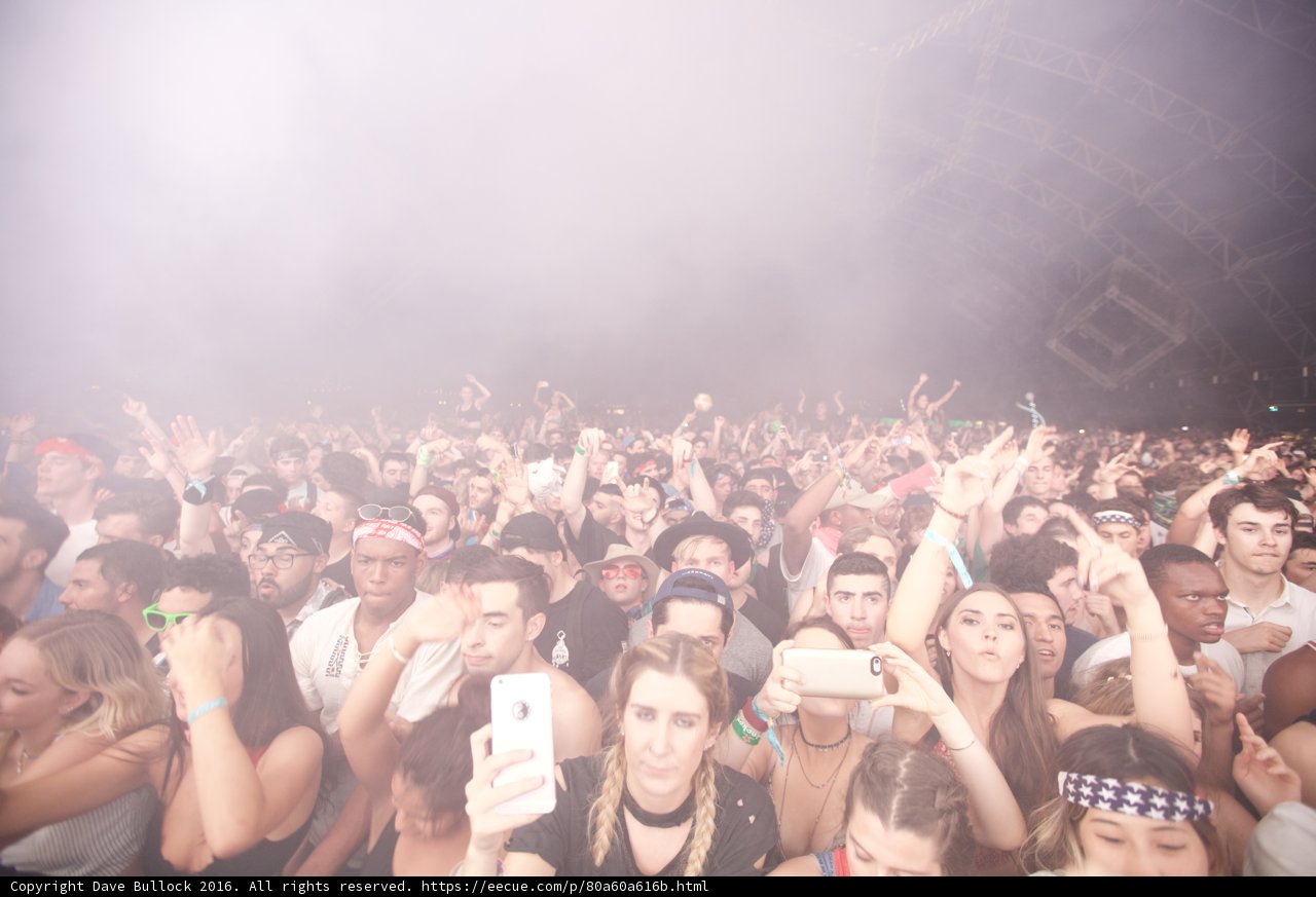 Electrifying Concert Crowd