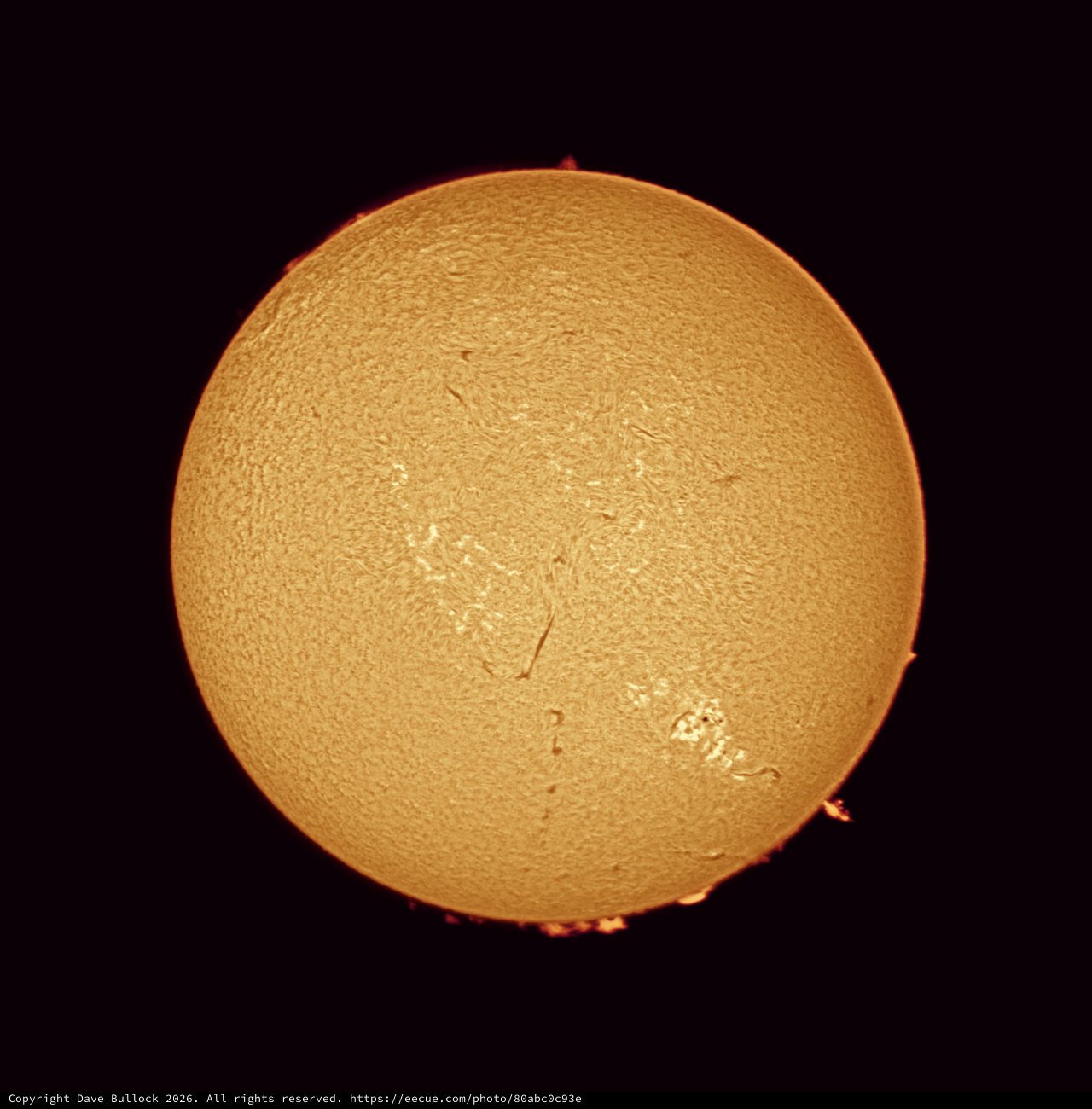 Solar Chromosphere in Stunning Hydrogen-Alpha Detail