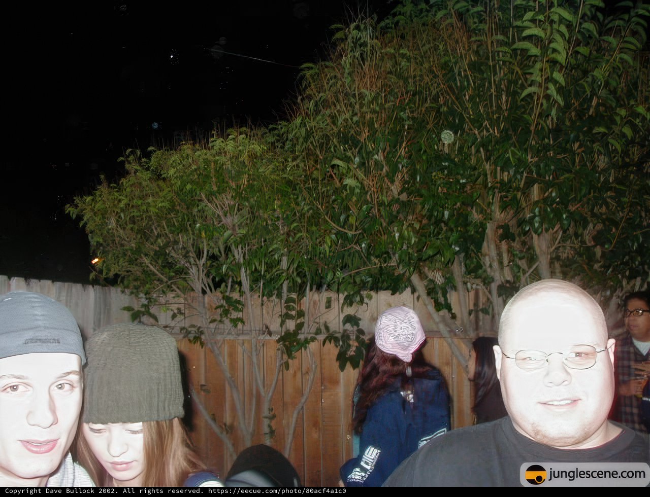 Nighttime Gathering by the Fence
