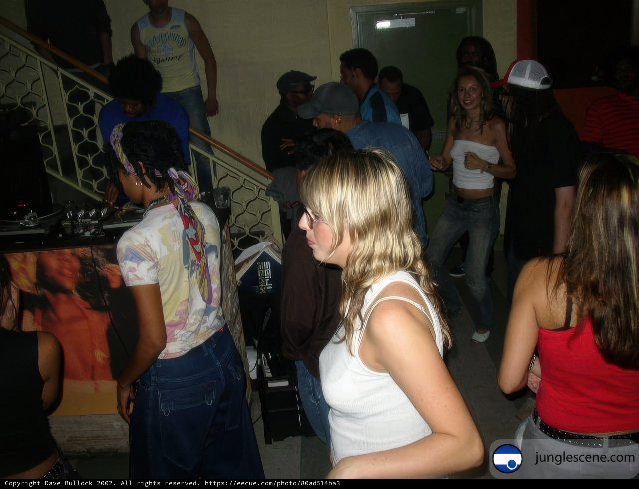 Nightclub Gathering