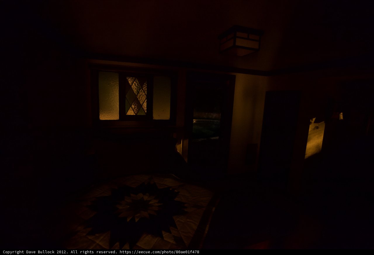 Midnight Oasis