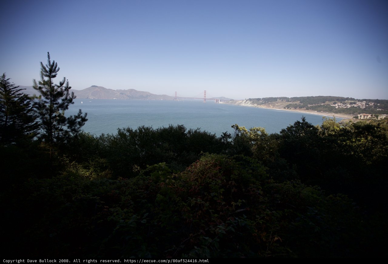Golden Views from the Hill