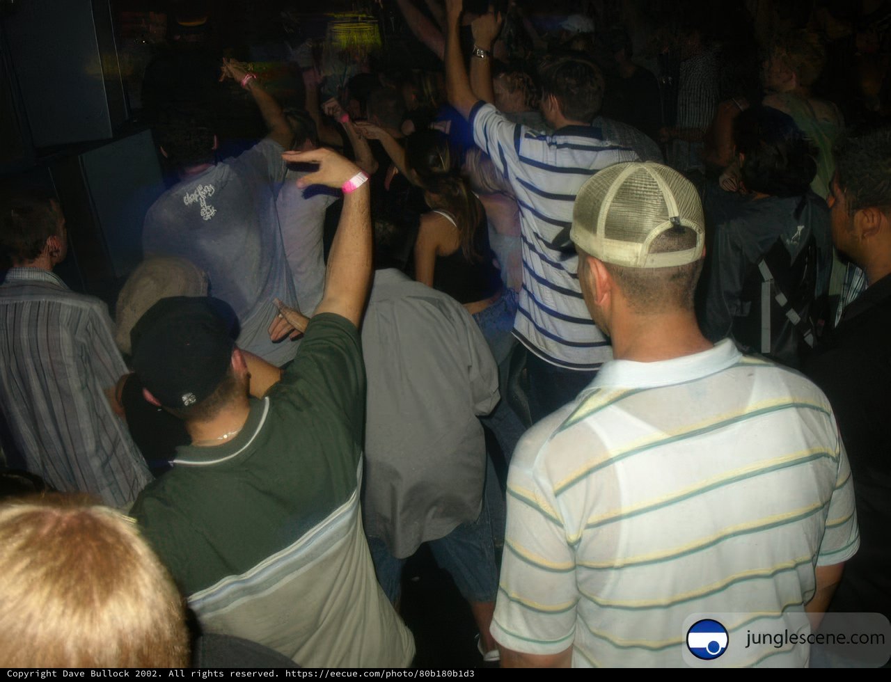 Dancing the Night Away
