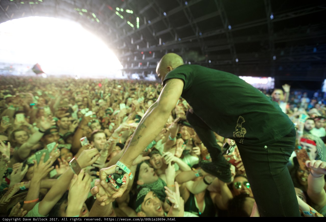 The Man on Top of the Crowd at Coachella