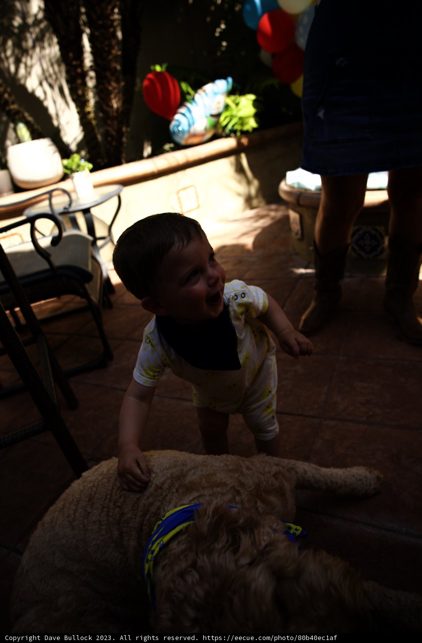 A Moment of Pure Joy