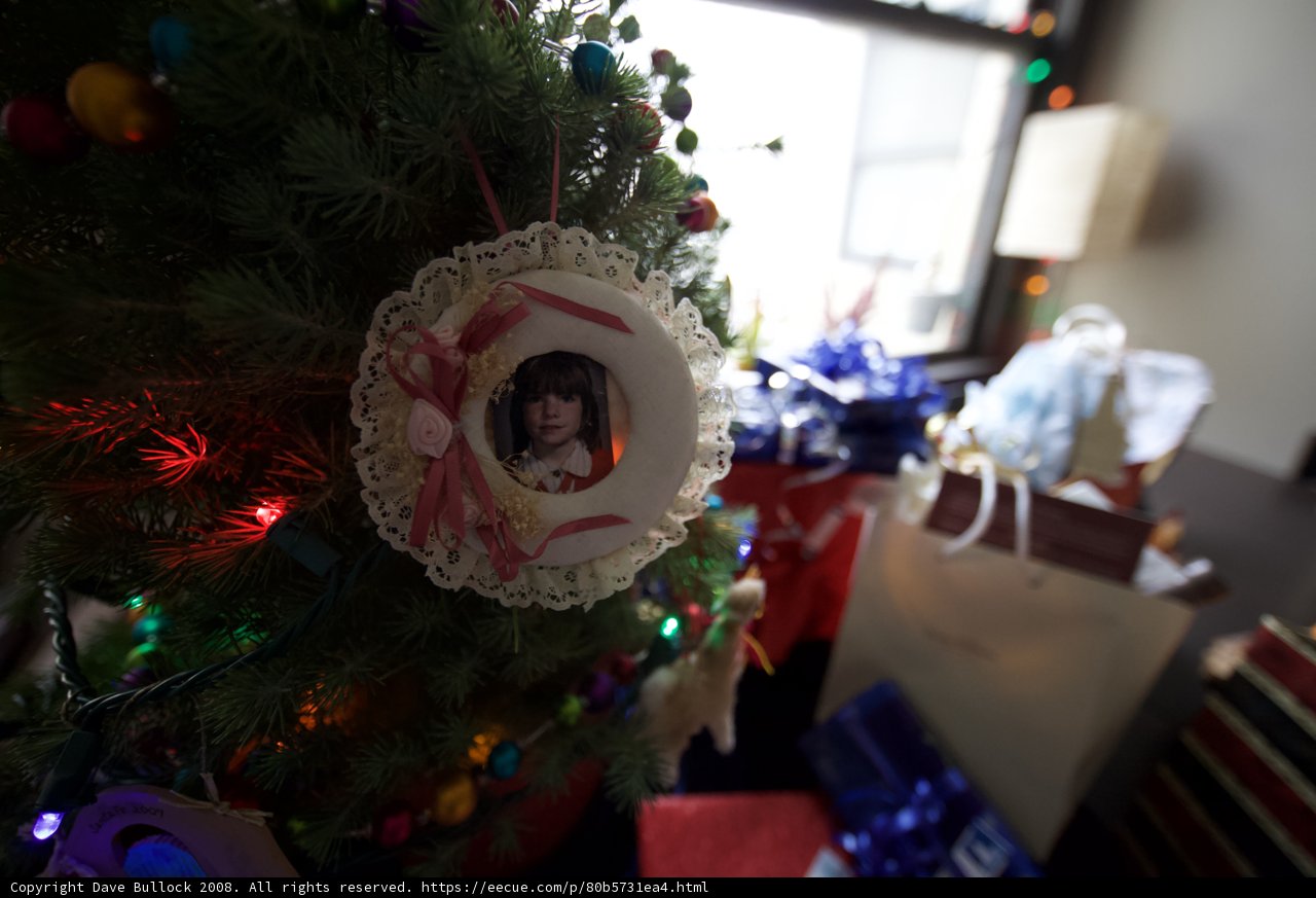 A Personal Touch to the Christmas Tree