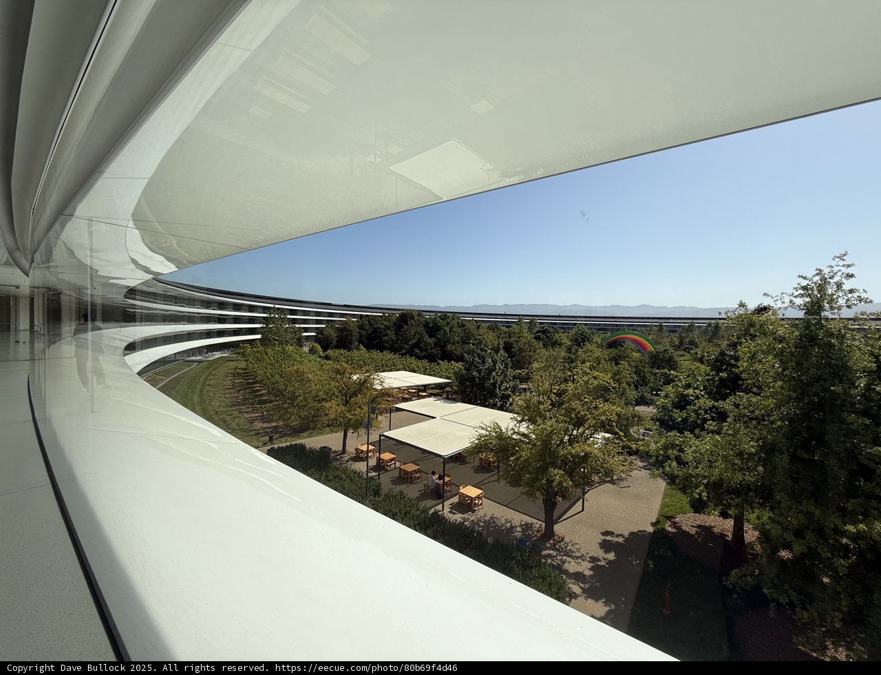 Architectural Harmony in Apple Park