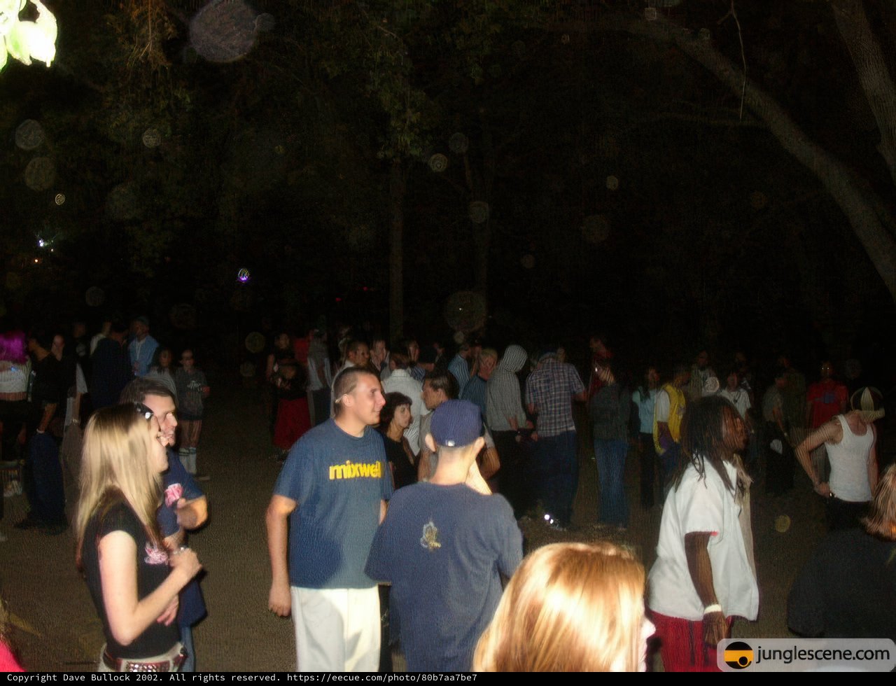 Nighttime Gathering