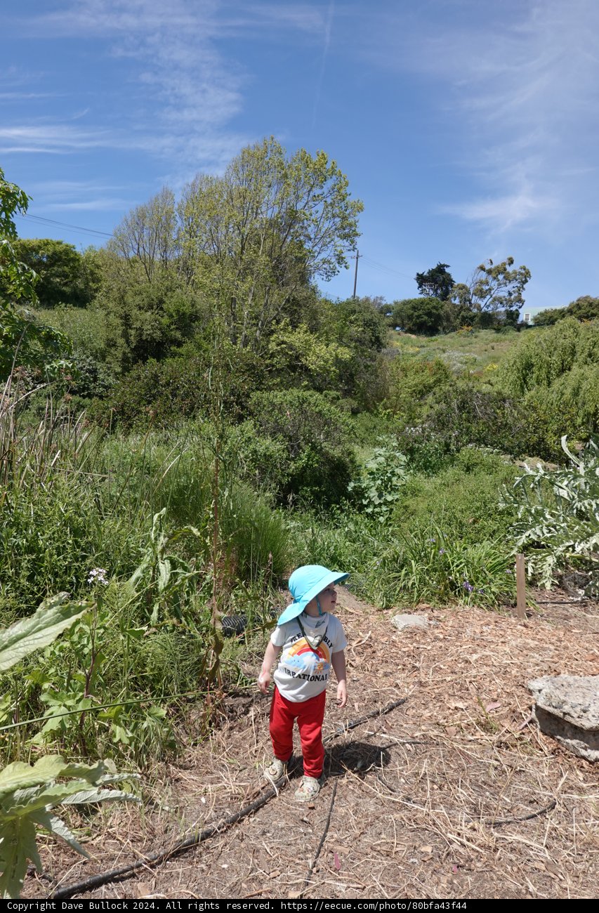 Little Explorer in the Garden