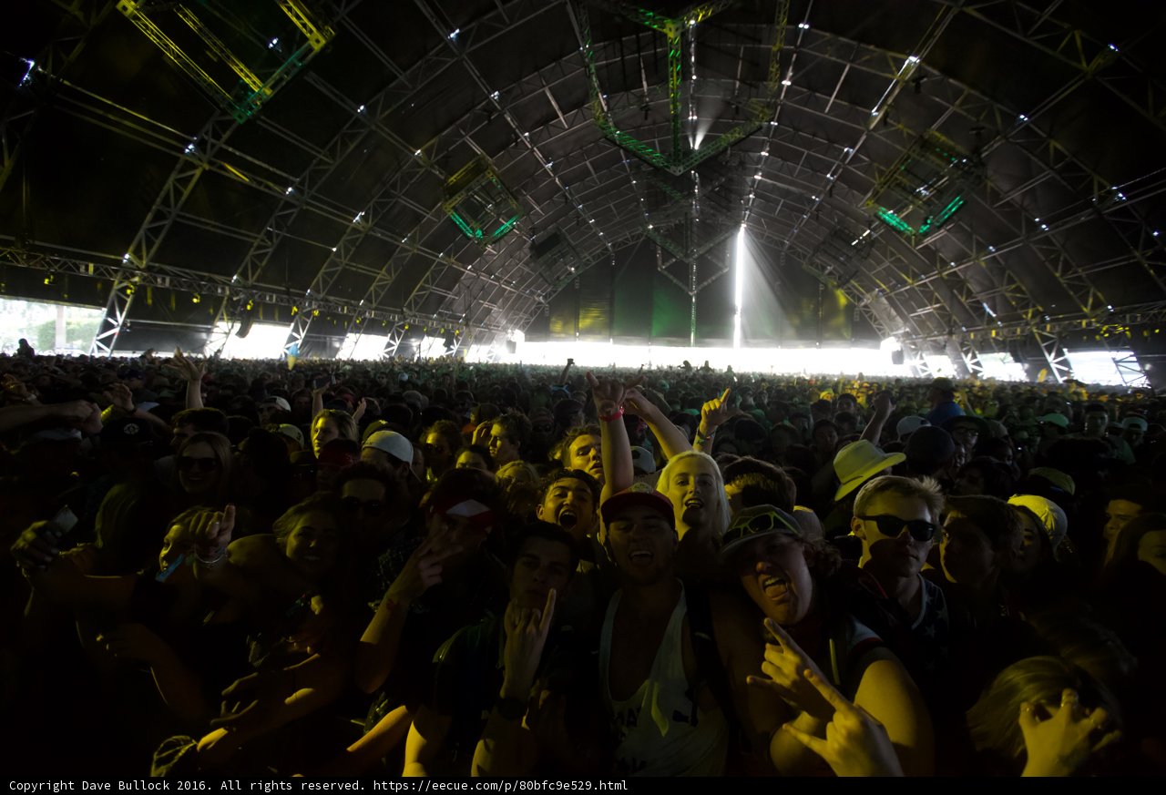 Electric Nights at Coachella