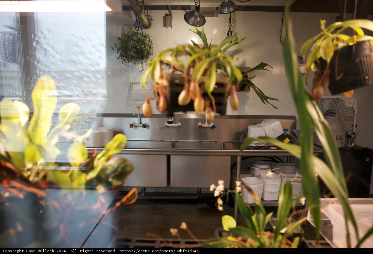Kitchen Garden Oasis