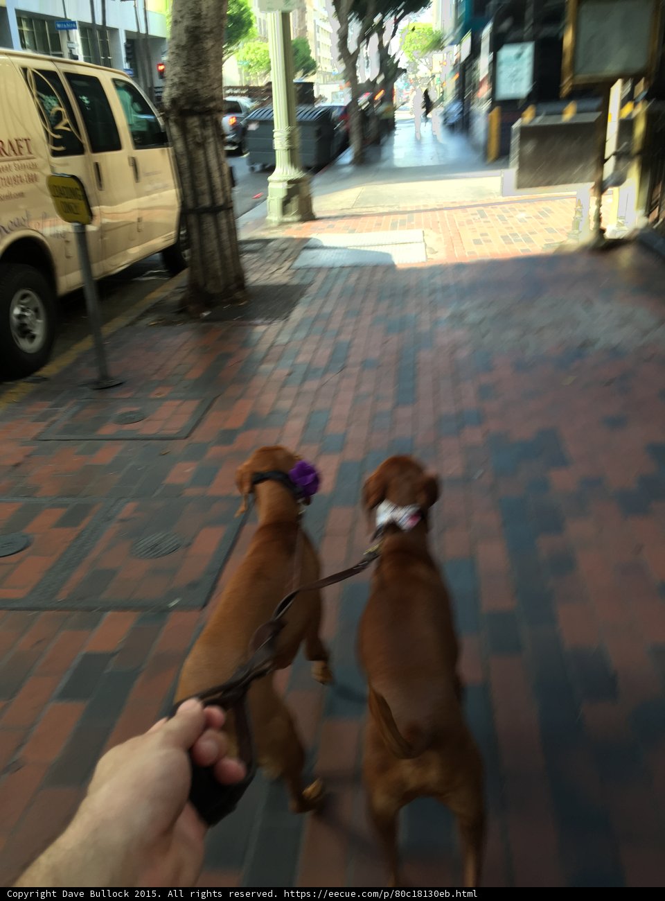 A Walk on the Path