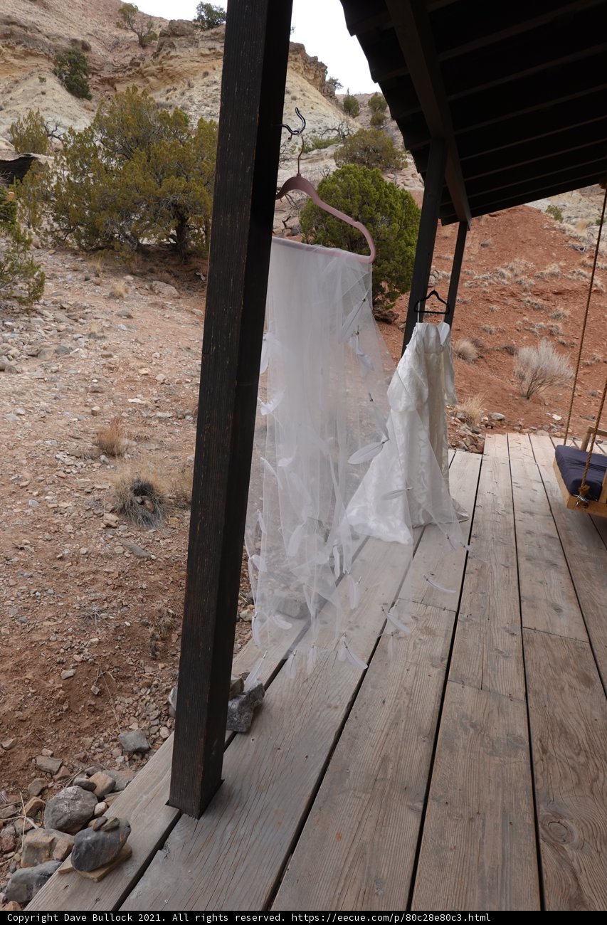 A Bride's Oasis in the Desert