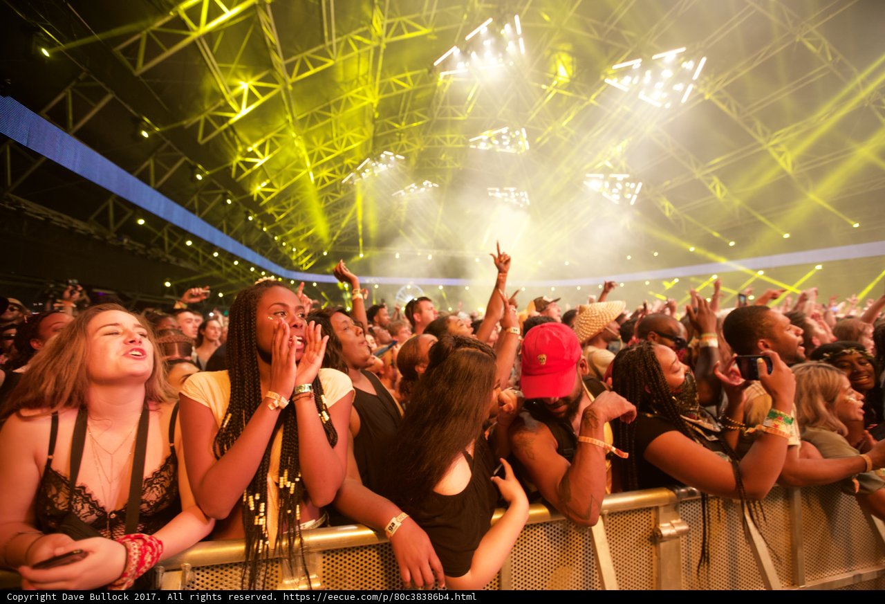 Coachella Crowd Goes Wild