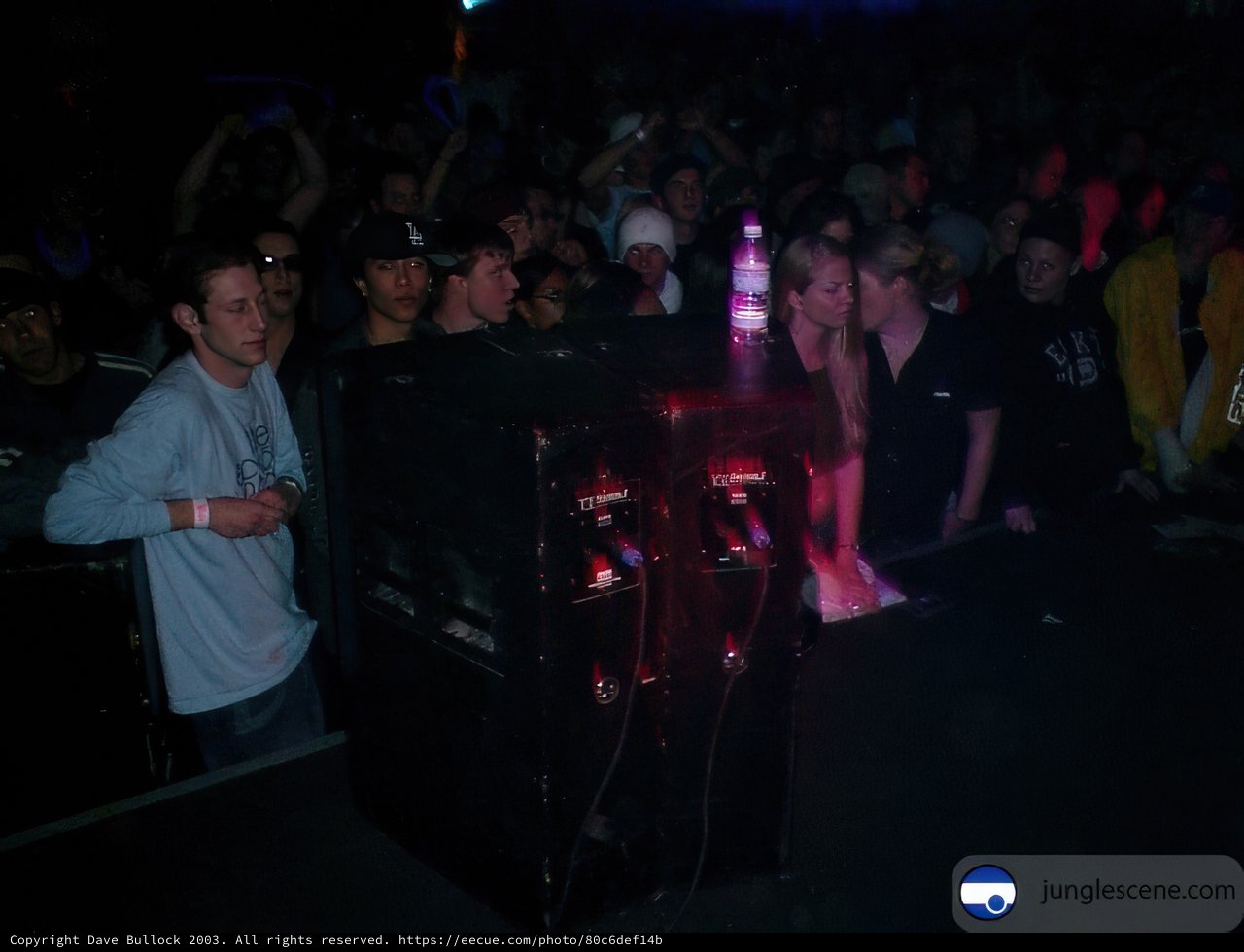 Nightclub Crowd Watching DJ Perform at a Concert