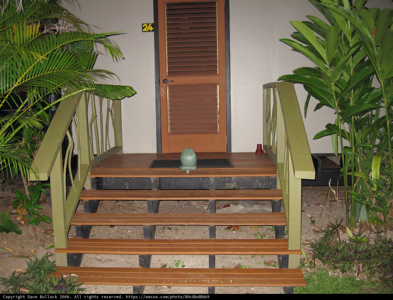 Wooden Staircase leading to a Natural Oasis