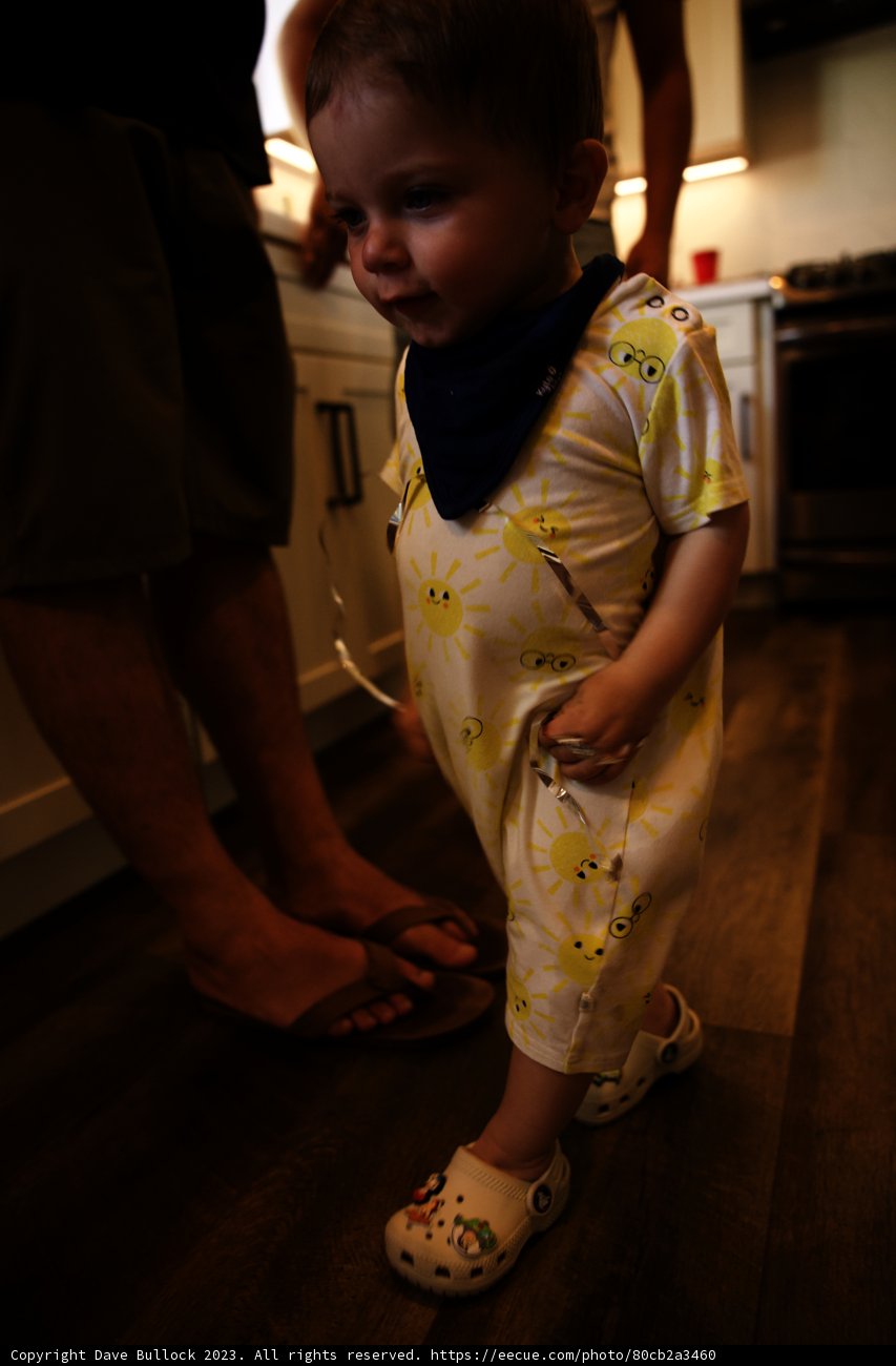 Wesley's First Steps on His First Birthday
