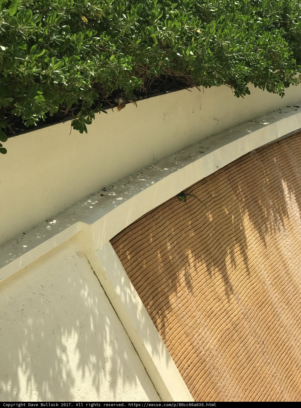 Serene Seating