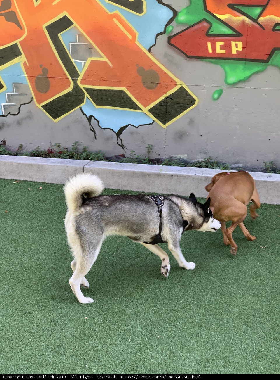 Graffiti Playtime