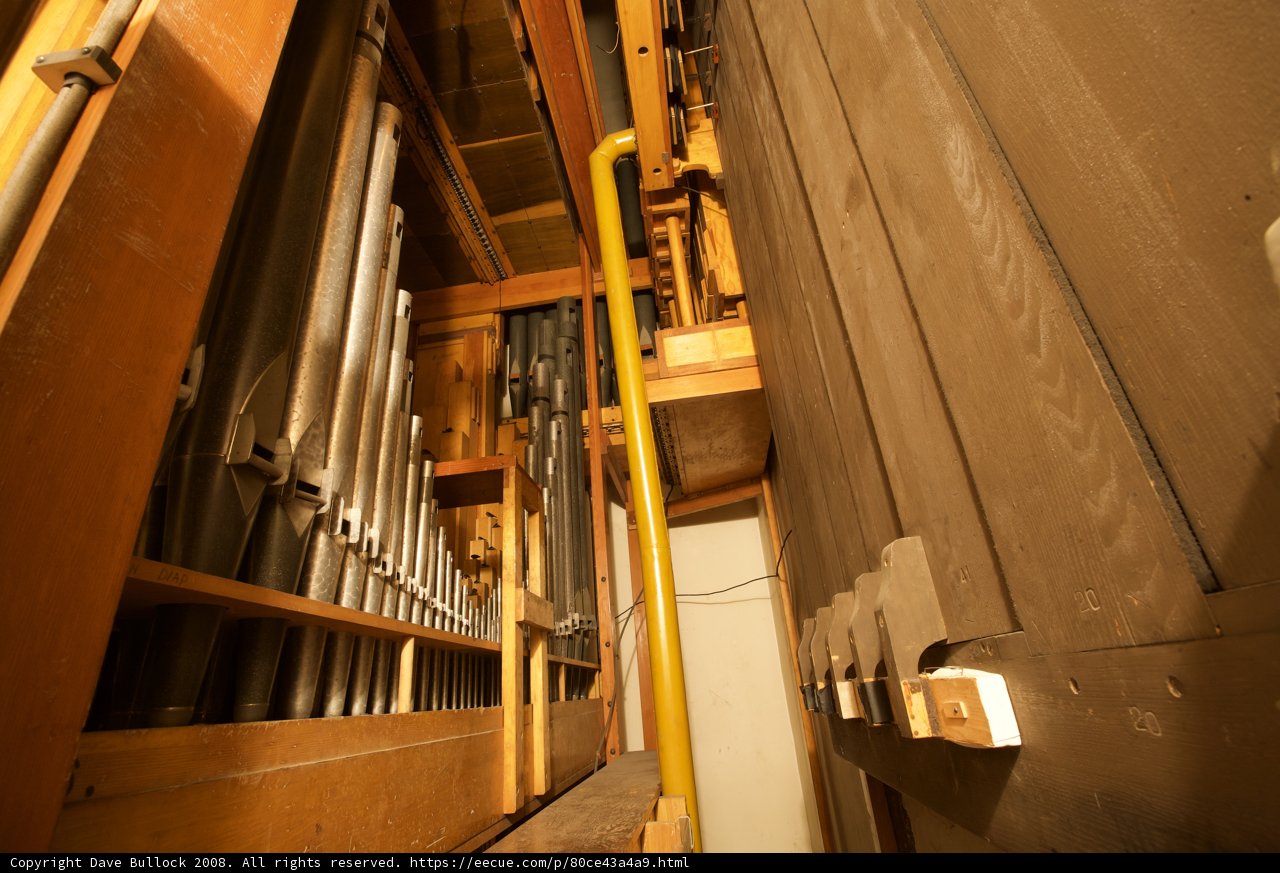 Organic Architecture: Inside the Wilshire Temple Pipe Organ
