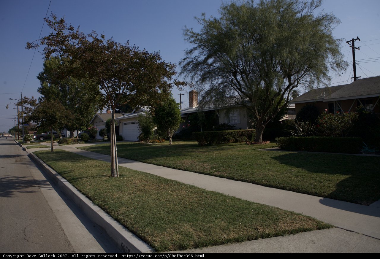 A Walk Through the Suburbs