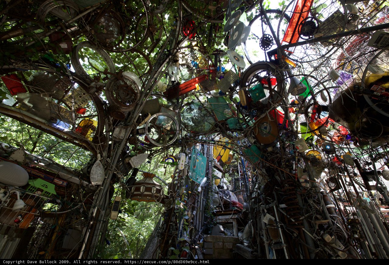 The Eclectic Tree